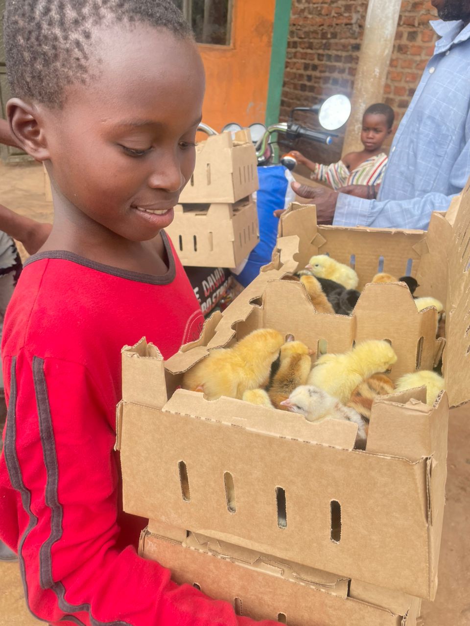 KCF poultry project